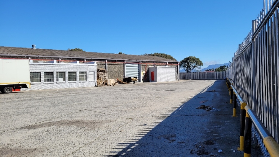 To Let Commercial Property for Rent in Epping Industrial Western Cape